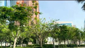 Emirates Palace Mandarin Oriental, Abu Dhabi