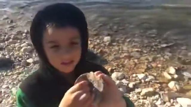 Fossils from Cretaceous period