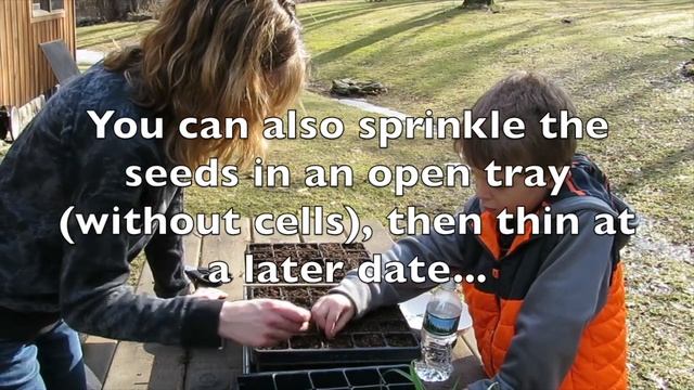 HOW TO START ONION SEEDS, THE LITTLE GARDENER смотреть онлайн