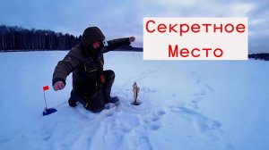 Секретное Место. Ловля Судака и Берша на Жерлицы и Ратлины. Леща Опять Нет