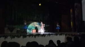 Ой летели дики гуси песня