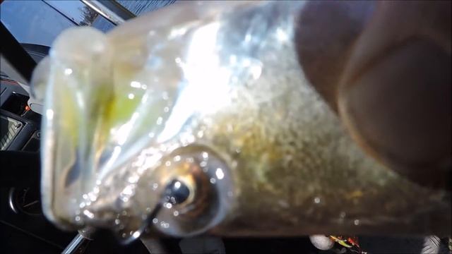 SUDAK AVIM DEGISIK TEKNIKLE  23 5 2016