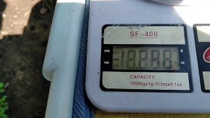 НЕКТАРИН БИГ ТОП. Тот случай ,когда содержание полностью соответствует названию!