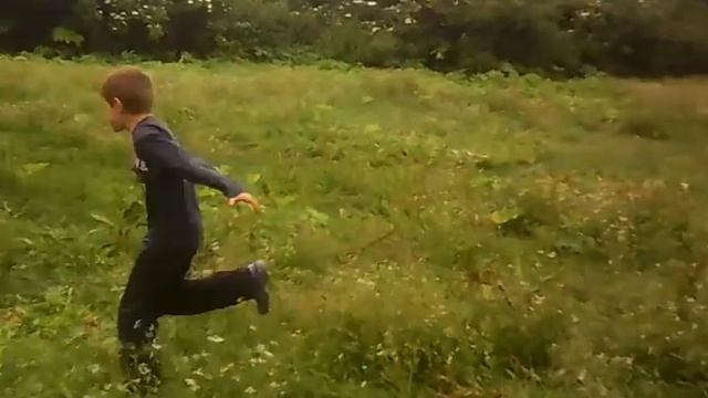 Каратист проти бика смотреть онлайн