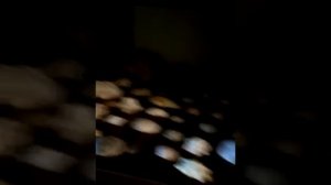 Ракушки и  камни