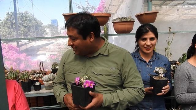 Ayacucho en México, próximamente en Guatemala. смотреть онлайн