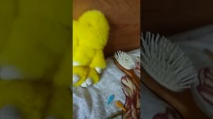 Как я ухаживаю за кроликами брелками