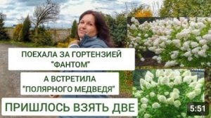 ПОЕХАЛИ ЗА МЕТЕЛЬЧАТЫМИ ГОРТЕНЗИЯМИ ДЛЯ 🌲МОЖЖЕВЕЛОВОГО САДА🌲. 23.04.2024г.