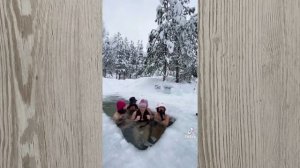 Моржи