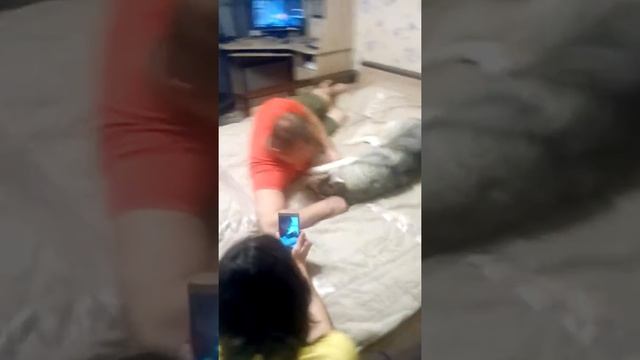 Моя собака разговаривает и кошка тоже смотреть онлайн