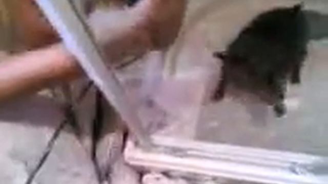 LE TORTURE A BIRBA смотреть онлайн