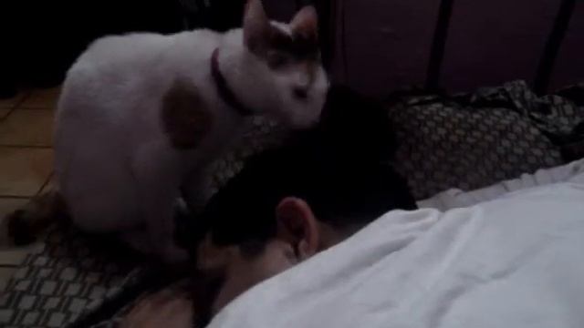 la nena de papa - puma