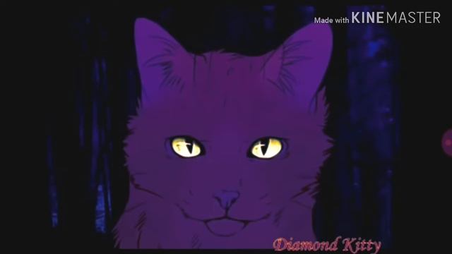 Коты-воители: Бич-Тело Ч.О.