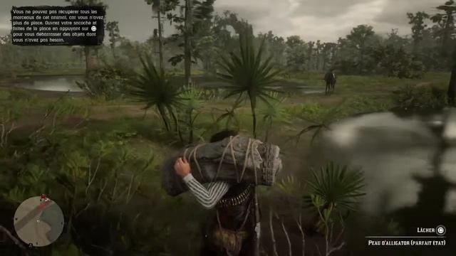 Tuto : peau d'alligator parfait état immanquable et facile dans Red Dead Redemption 2 смотреть онлайн