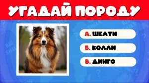 УГАДАЙ ПОРОДУ СОБАКИ