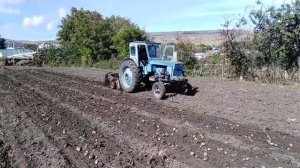 Самодельная копалка на т 40