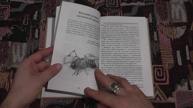 "Письма насекомых" (О.Кувыкина,2021)