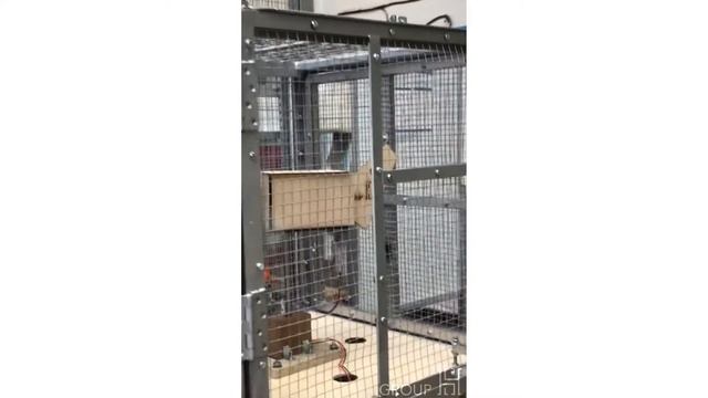 Group H (HAWT) | Turbine Test | Stage 1 | Newcastle University смотреть онлайн