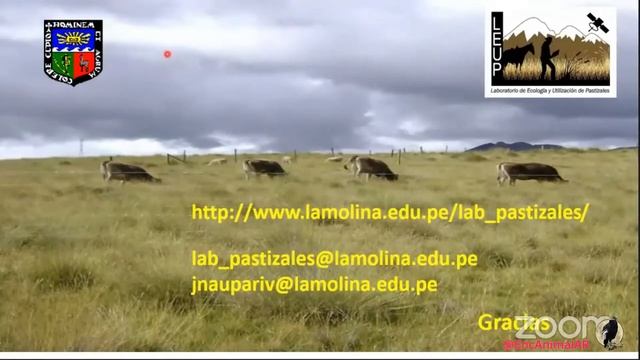 Instituto E.A.AR – IV. “Investigación e innovación tecnológica para una ganadería bovina ... смотреть онлайн