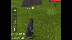 Подборка WildCraft из тик тока 1/?