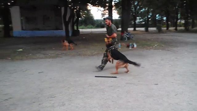 Занятие по защите .Инструктор Евгений Ляхов