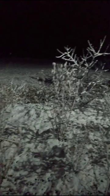 21 января 2022 г. В Темрюкском районе выпал снег. смотреть онлайн