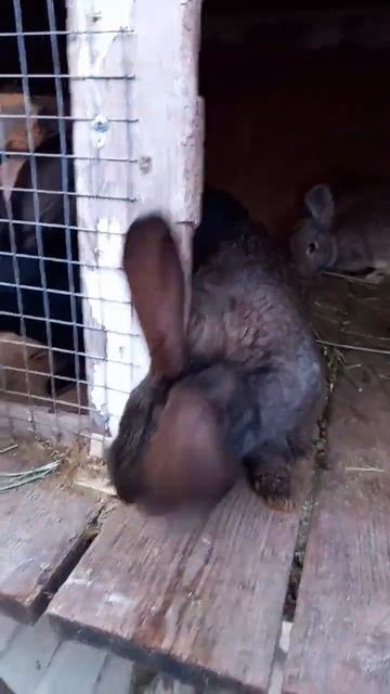 20 марта 2023 г. смотреть онлайн