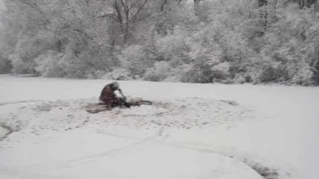 Поэндурили немного по снегу 18+ смотреть онлайн