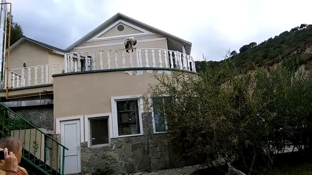 Falcon Show in Almaty -2 смотреть онлайн