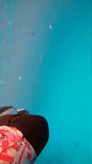 Shark bite/Нападение акулы на человека/Мальдивы смотреть онлайн