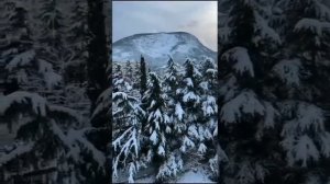 Крым. Февраль. Партенит