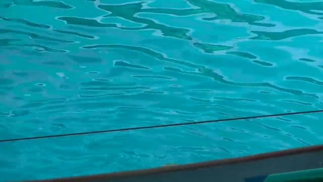 Адлер дельфинарий 2014 смотреть онлайн