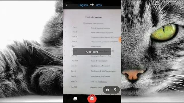 mobile k camera sy kisi bhi language mei translate kary смотреть онлайн
