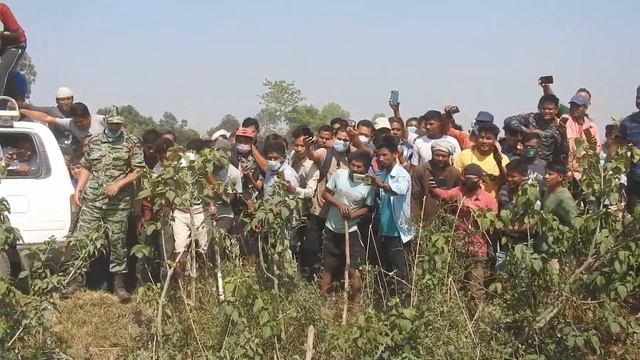 Common Leopard Rescue Operation/NTNC-BCP смотреть онлайн