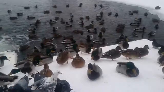 20180209 163402 смотреть онлайн