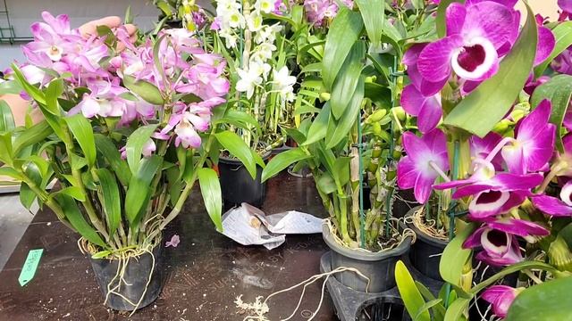 #언박싱#난원브이로그##프리물리엄대품#2022년 4월 9일 смотреть онлайн