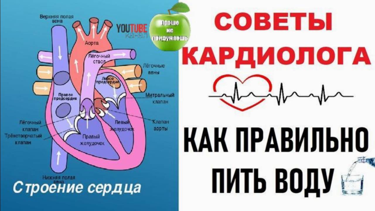 Советы кардиолога - Очень Важно. Правильное время, чтобы пить воду.