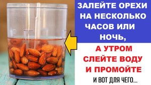 О ПОЛЬЗЕ ЗАМАЧИВАНИЯ ОРЕХОВ И СЕМЕЧЕК!