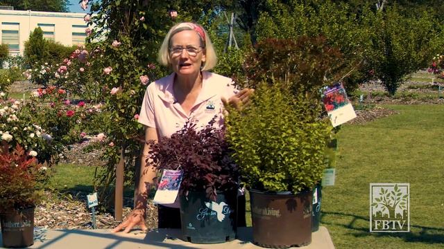 The Cultivators: Add Color to Your Landscape April 2018 смотреть онлайн