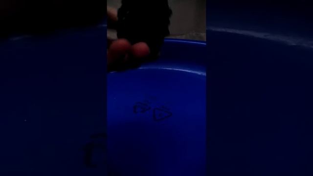 Обзор на орб эгиса и хевина пигаса смотреть онлайн