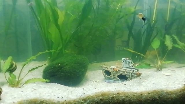 19 апреля 2023 г. смотреть онлайн