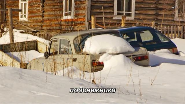 Зимняя Нёнокса смотреть онлайн