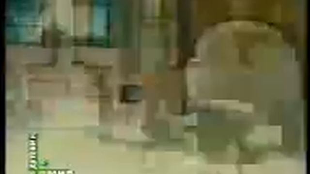 Krokodil_gena.3gp