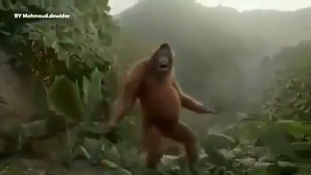 Танцующая обезьяна смотреть онлайн