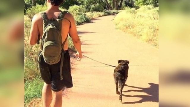 Голодная собака на заправке не могла представить, что обретет семью, которая будет любить ее! смотреть онлайн