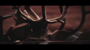 Роднополисы. ЯМАЛ. СКОРО...