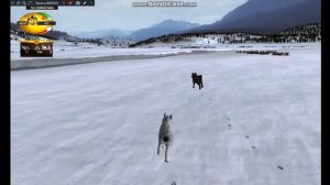 WolfQuest прохождение #1 новые жизни