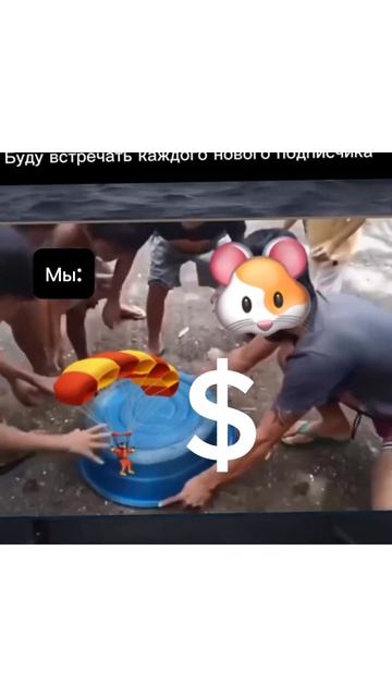 Хомяк раздал дроп!!! hamsterkombat хомяк memes крипта мем жиза