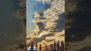 Sardor Rahimhon(Yo Rab) mp3 Janob Hech Kim kinosidan parcha #uyda qoling