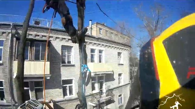 Арбо-work! Не пытайтесь повторять на своих участках - выполнено профессионалами! смотреть онлайн